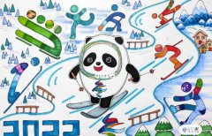 2022关于北京冬奥会开幕式观后感精选6
